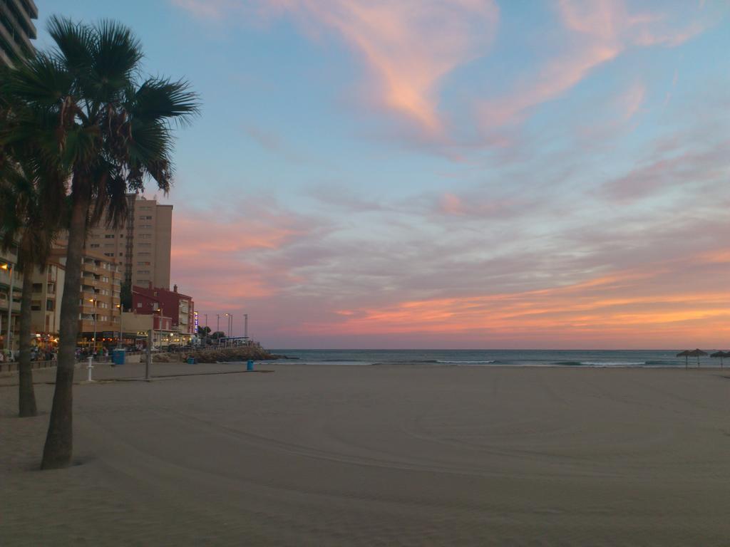 Daytona Vidaber Primera Linea Apartment *